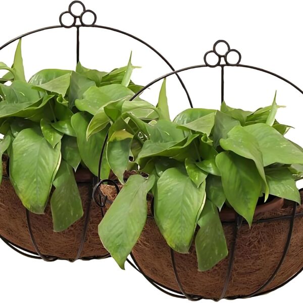 Two-Pack Metal Wall Hanging Planter Baskets with Liners