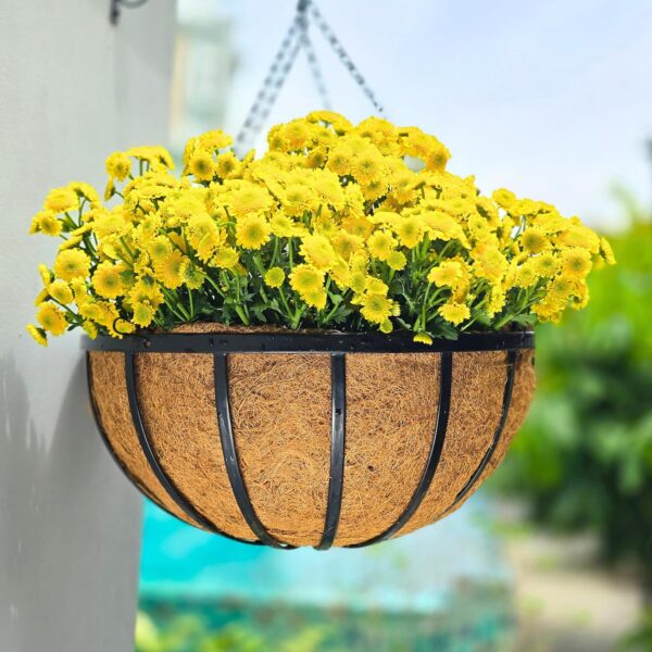 Four-Pack 20 in Black Hanging Baskets with Chains